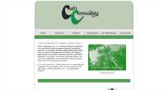 Desktop Screenshot of cubsconsulting.com